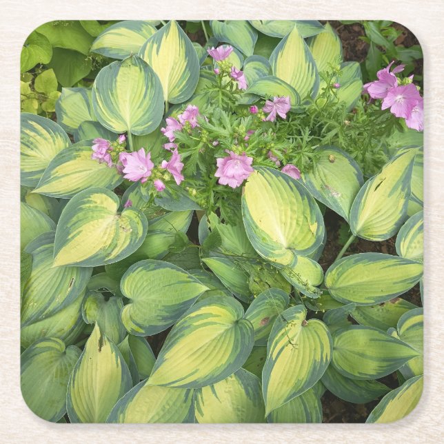 Grön passionsblomma Botanisk underlägg | Tropisk  Papper Kvadrat (Framsidan)