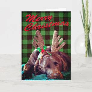 Grön Plaid Labrador som bär horn Foto Anpassad Helgkort