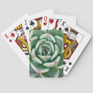 Grön röd tippad suckulent casinokort
