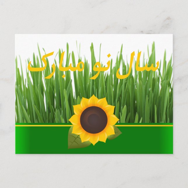 Grön Sabzeh Sunflower Persiska Nyår Nowruz Helg Vykort (Framsida)