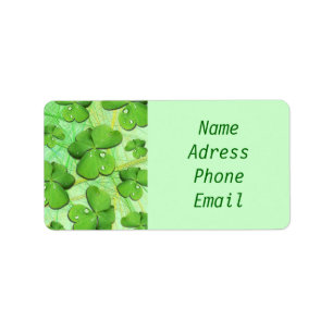 Grön Shamrockst patrick's dayadressetiketter Adressetikett