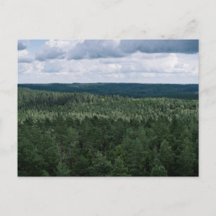 Grön skog landskaps tak fotografi vykort