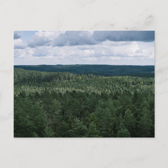 Grön skog landskaps tak fotografi vykort (Framsida)