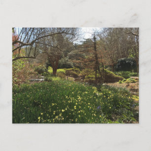 Grön skog med gula blommor vykort