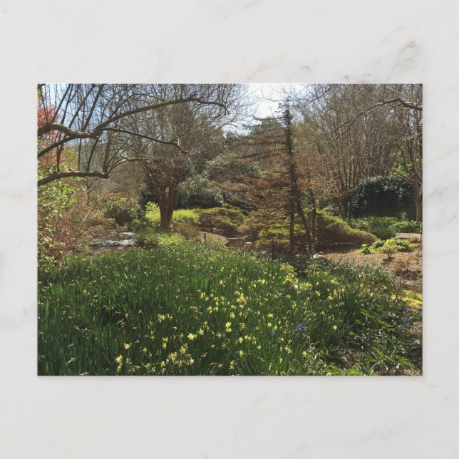 Grön skog med gula blommor vykort (Framsida)