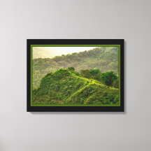 Grön Skog På Hösten