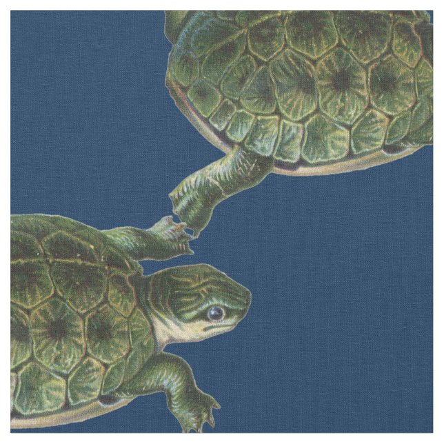 Grön sköldpadda tyg (Närbild)