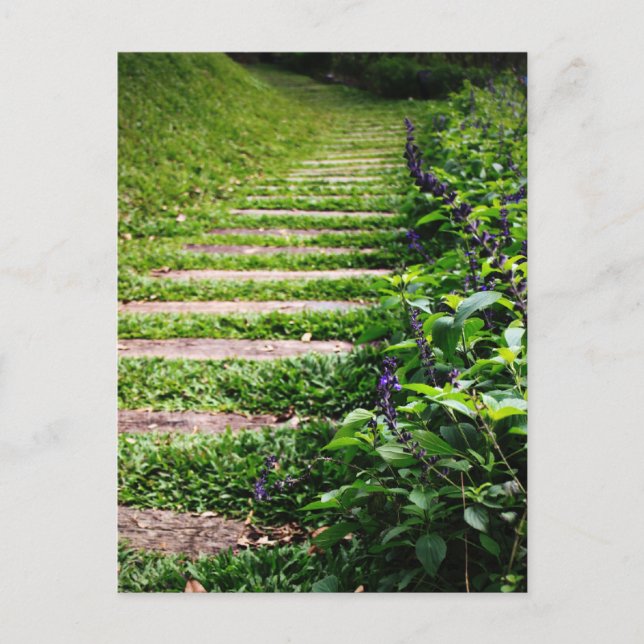 Grön stig vykort (Framsida)