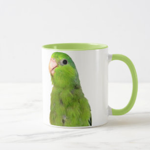 Grön Stillahavs- Parrotlet fågel mugg för 11 un