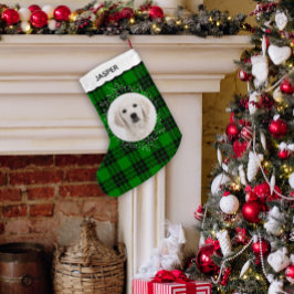 Grön Tartan Randig Vinterkrans Husdjur Hund Foto Liten Julstrumpa