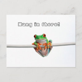 Grön trädgroda - Häng... Vykort