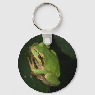 Grön trädgroda Keychain Nyckelring
