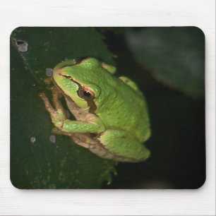 Grön trädgroda Mousepad Musmatta