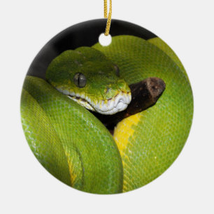 Grön trädpytonorm julgransprydnad keramik