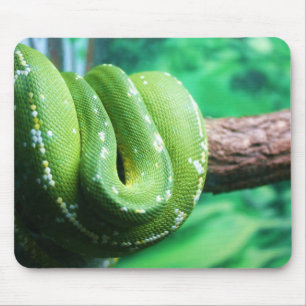 Grön trädpytonorm Mousepad Musmatta