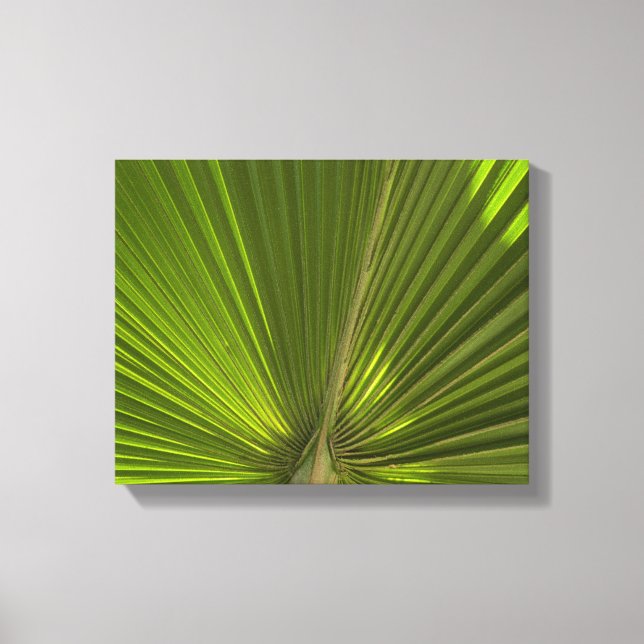 Grön tropisk palmfrond canvastryck (Framsida)