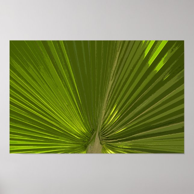 Grön tropisk palmtreeblad poster (Framsidan)