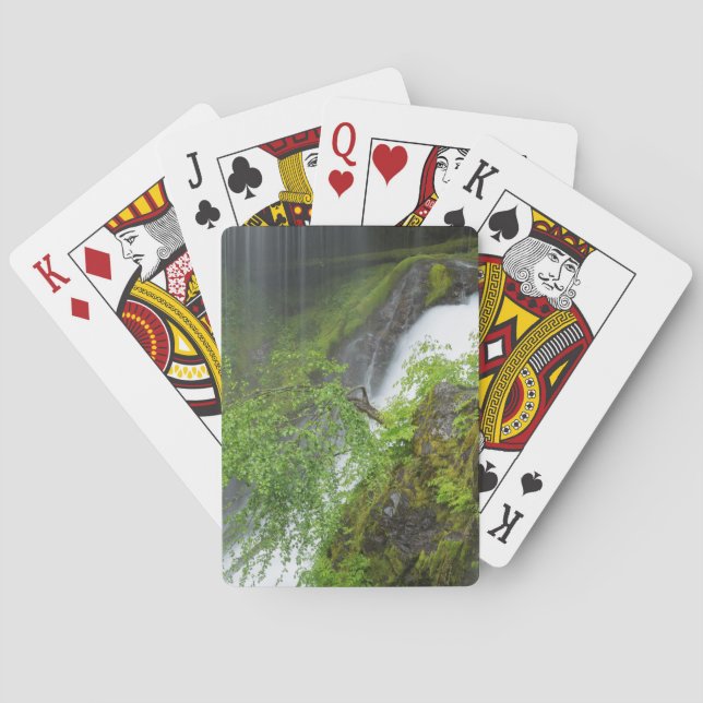 Grön vattenfallsscen casinokort (Baksidan)