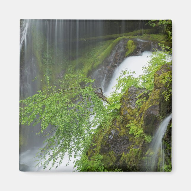 Grön vattenfallsscen magnet (Framsidan)