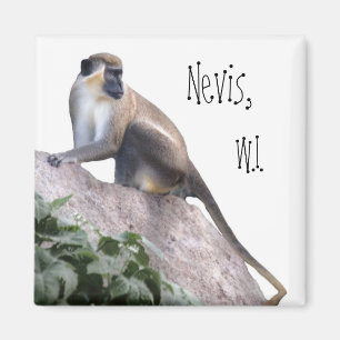 Grön Vervet apa Magnet