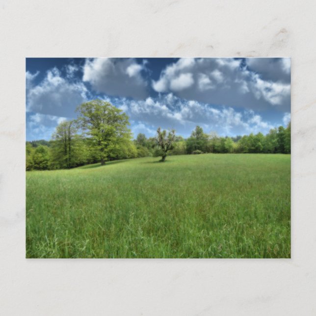 Grön vykort för Appalachian (Framsida)