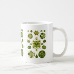 Gröna alger kaffemugg