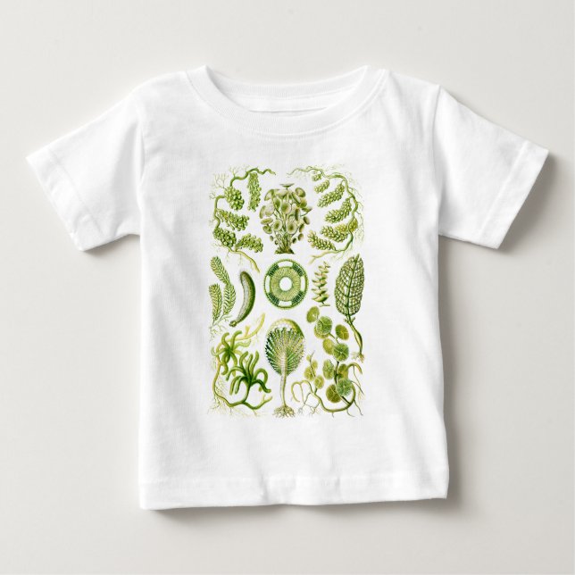 Gröna alger t-shirt (Framsida)