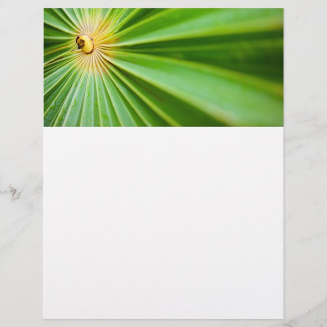 Gröna blad bakgrund reklamblad (Framsidan)