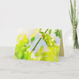 Gröna blad blå himmel älskar dig alltid kort