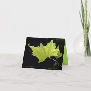 Gröna blad brevkort kort