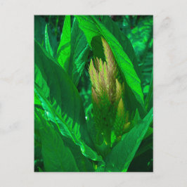 Gröna blad med gyllene celosia-blomsterax vykort