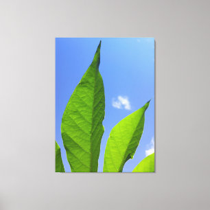 Gröna blad når himlen canvastryck