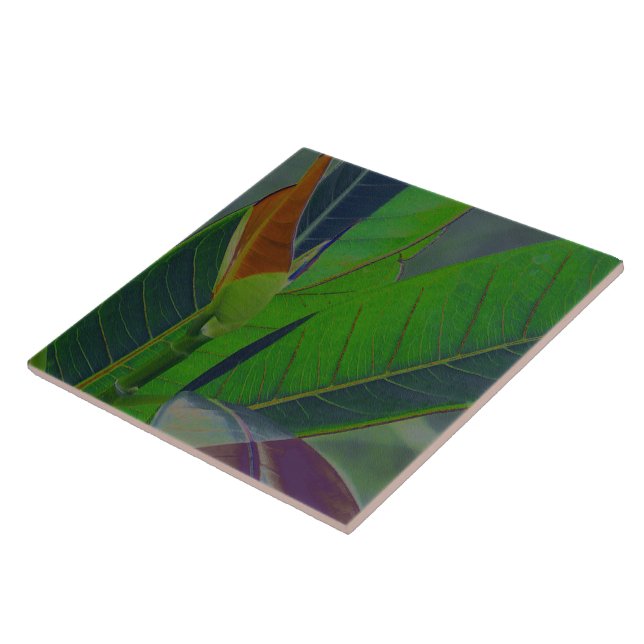 Gröna blad närbild kakelplatta (Sidan)