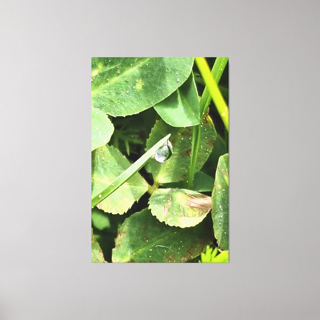 Gröna blad Rumänien - Botanisk bladverk Väggkonst Canvastryck (Framsida)