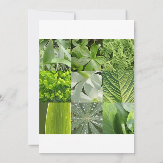 Gröna Blommor (Framsida)