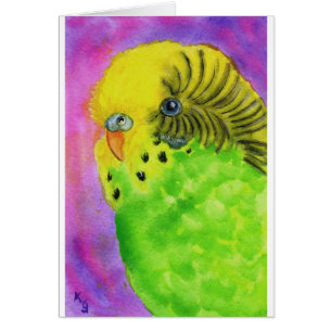 Gröna Budgie Hälsningskort