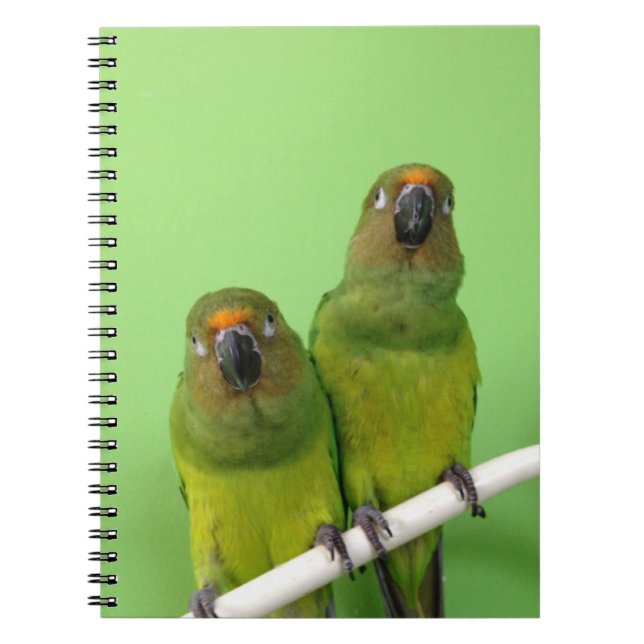 Gröna Conure noterar boken Anteckningsbok Med Spiral (Framsidan)
