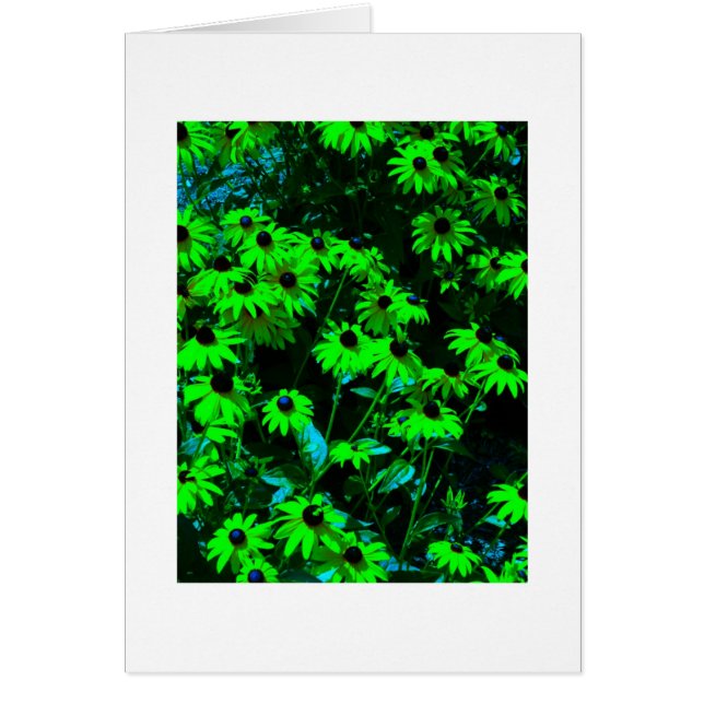 Gröna daisy hälsningskort (Framsidan)