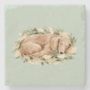 Gröna gula blad faller sovande hund stenunderlägg