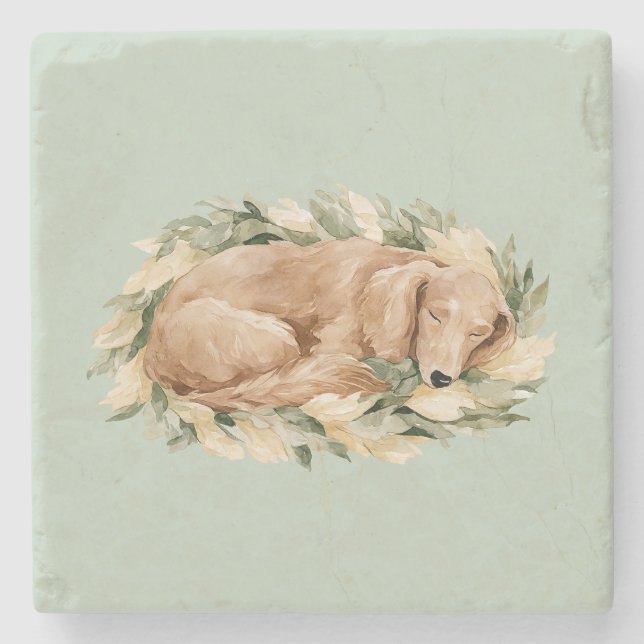Gröna gula blad faller sovande hund  stenunderlägg (Framsidan)