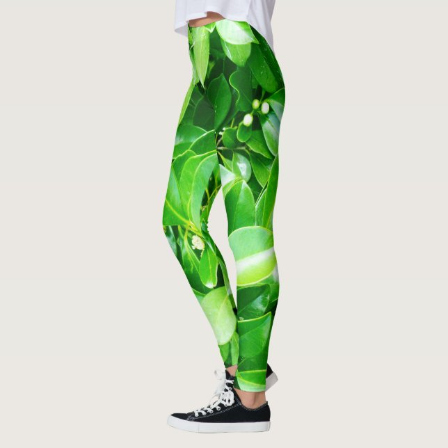 Gröna gummiträdblad,  leggings (Vänster)