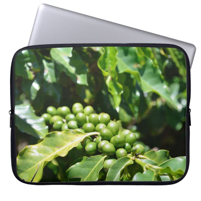 Gröna kaffebär datorhölje laptop fodral (Framsidan)