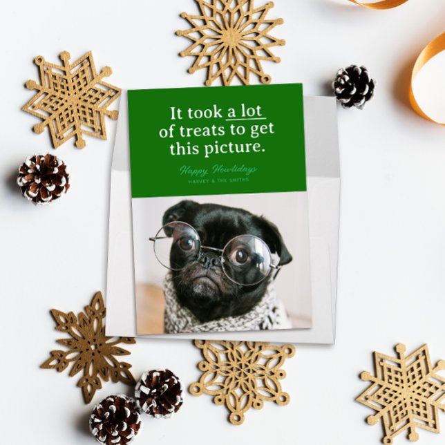 Gröna Massor av Gott Julglatt Roligt Husdjur Julkort (Funny pet photo holiday card reads "it took a lot of treats to get this picture" on a block of green)