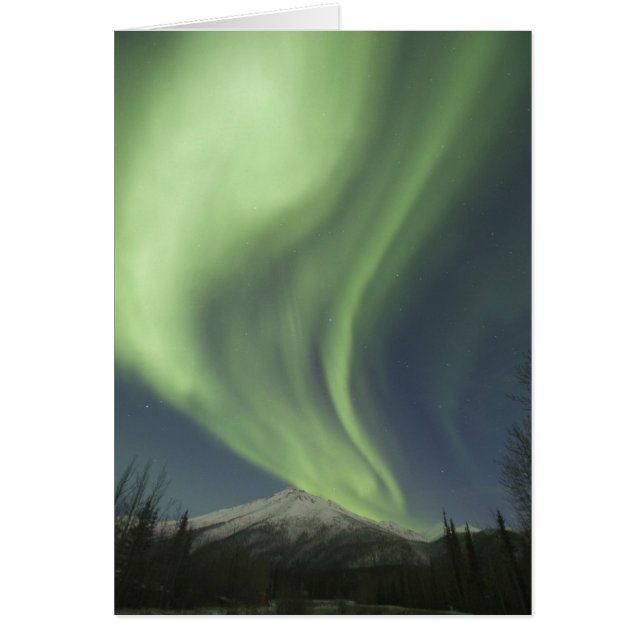Gröna norrskursgardiner på himlen hälsningskort (Framsidan)