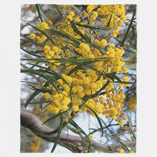 Gröna och guld- australiensiska wattleblommar fleecefilt (Framsidan)