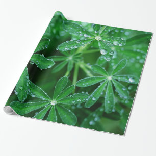 Gröna Pinwheels av löv med Raindrops Presentpapper