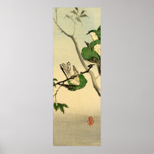 Gröna Sparrows no.1 Poster