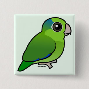 Gröna Stillahavs- Parrotlet Knapp