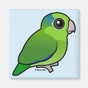 Gröna Stillahavs- Parrotlet Magnet