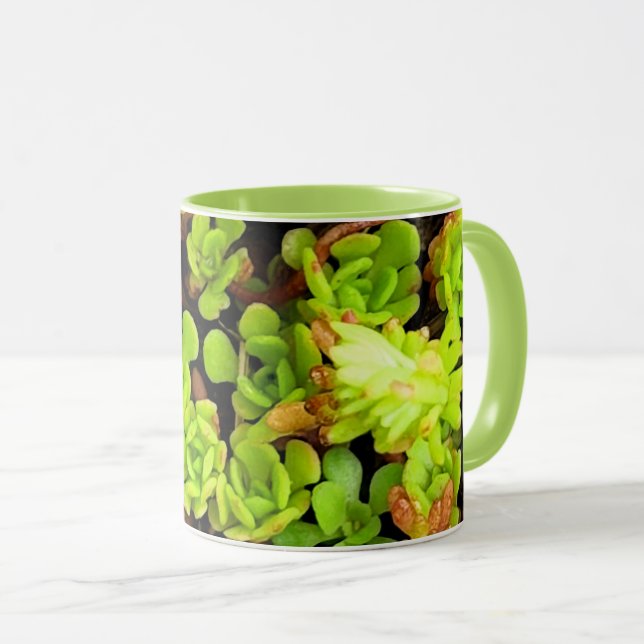 Gröna Sukkulentblommor Mugg (Framsida höger)